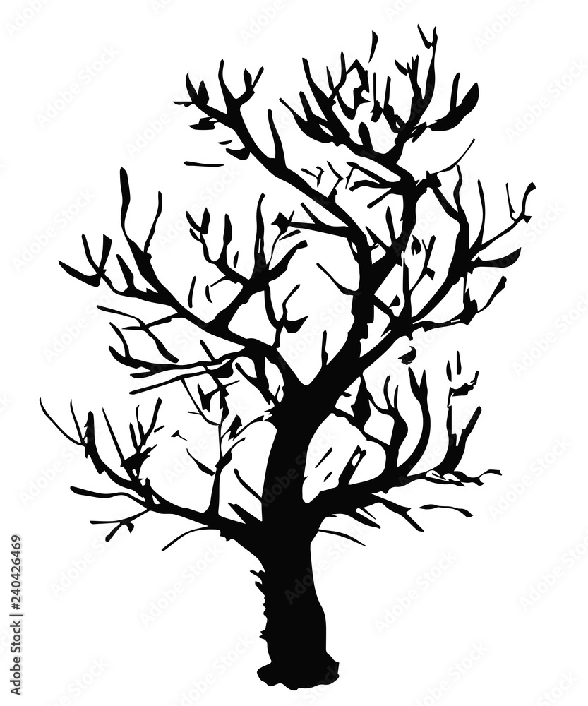 Black vector outline of a deciduous tree without leaves is a simple curved object that is isolated on a white background. Black vector outline of a deciduous tree without leaves is a simple curved object that is isolated on a white background.