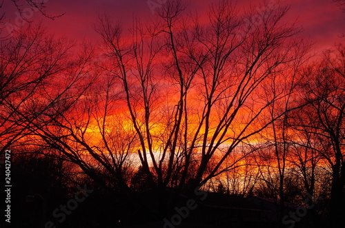 Fiery Sunset