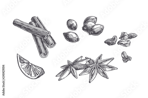 Vector vintage set of spices and sweets isolated on white. Hand drawn illustration of cinnamon, cardamom and berries in engraving style