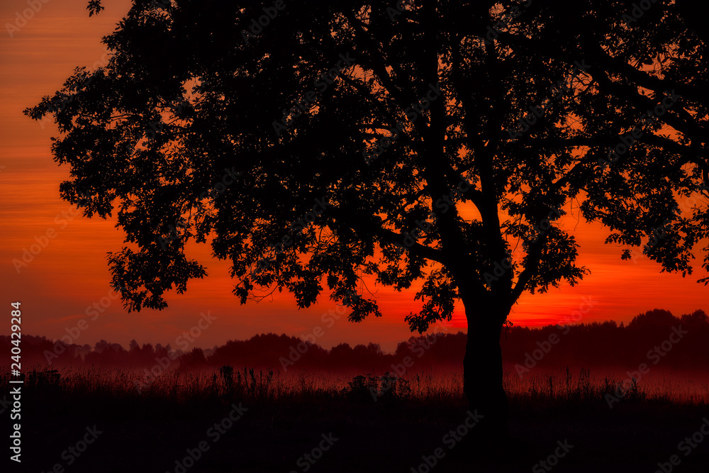 Sunrise silhouette. Russia. Sunrise silhouette. Russia.