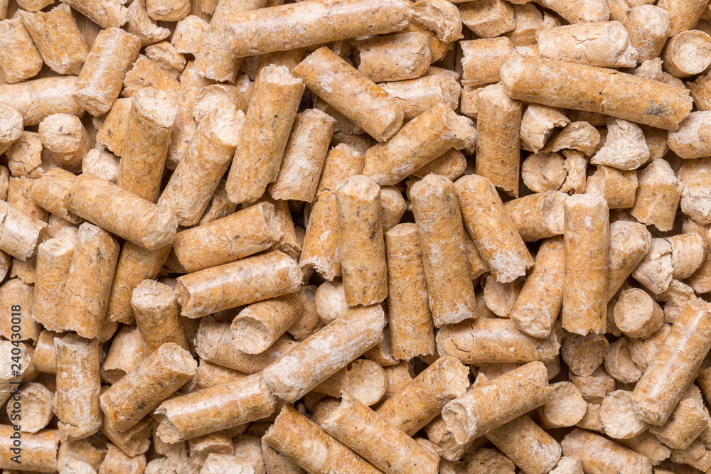 Close-up macro filler for cat pet pet toilet. Pressed wood sawdust egology clean, no smell for the house, the animal goes to the toilet Close-up macro filler for cat pet pet toilet. Pressed wood sawdust egology clean, no smell for the house, the animal goes to the toilet