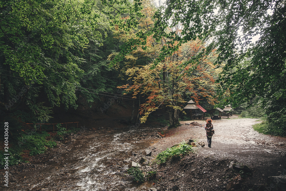 Stylish hipster girl in hat traveling in mountains. Young woman with backpack exploring and walking in summer forest. Travel and wanderlust concept. Space for text. Back view