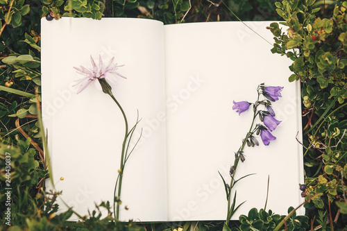Slika na platnu Top view of wildflowers and gathered herbs on paper notebook on blueberry bushes in mountains