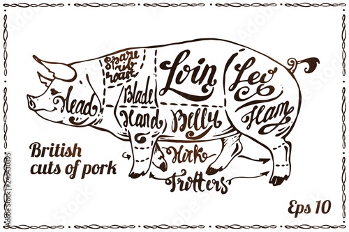Cuts of pork. Pig scheme on poster for butchery