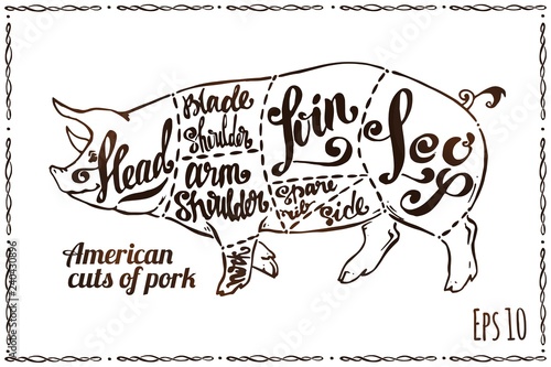 Cuts of pork. Pig scheme on poster for butchery
