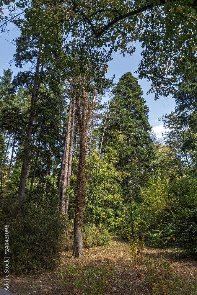 Fototapeta premium Landscape of park Vrana - around former Royal Palace in city of Sofia, Bulgaria