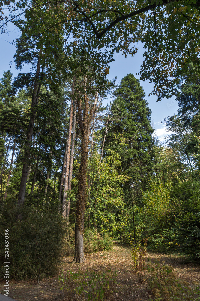 Landscape of park Vrana - around former Royal Palace in city of Sofia, Bulgaria