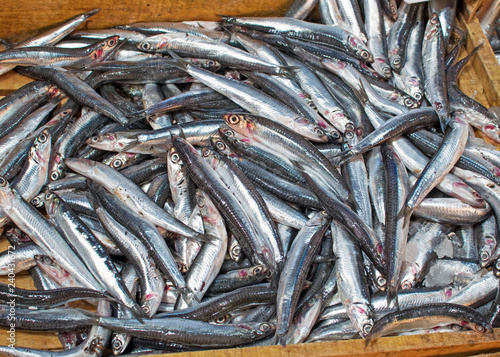 Many small sardines in a box on the counter of the market for fresh seafood in Athens, Greece. Beloved tourist market in the capital of Greece, fresh fish of the Mediterranean