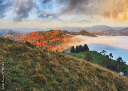autumn sunrise. foggy morning in the Carpathian mountains