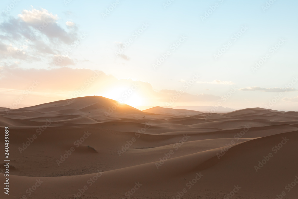 sahara desert