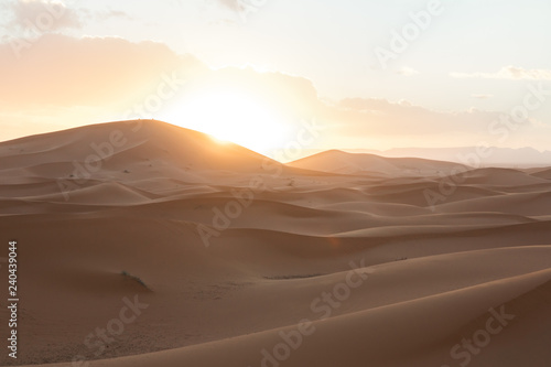 Fototapeta Naklejka Na Ścianę i Meble -  sahara desert