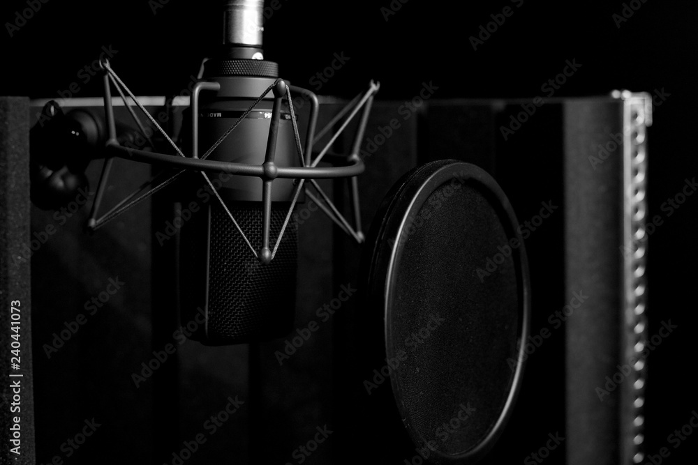 studion microphone