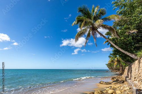 Exotic carribean shore of Puerto Rico Flamenco beach © PhotoSpirit