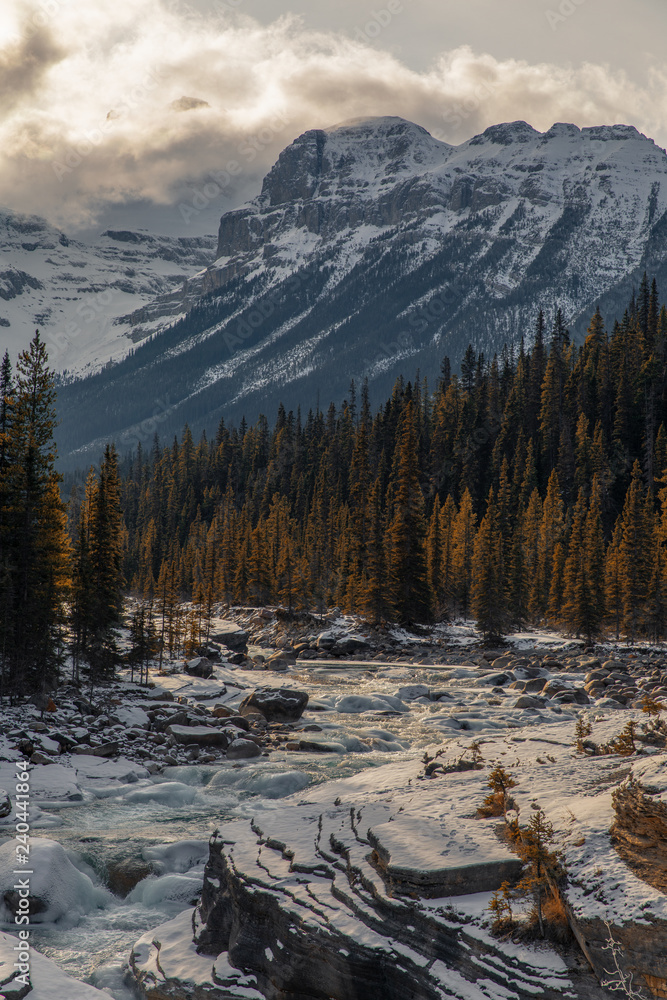 Winter Abascca Falls of Banff Alberta Canada