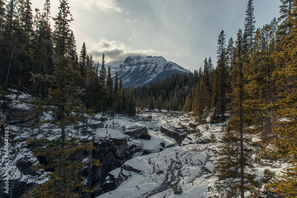 Winter Abascca Falls of Banff Alberta Canada