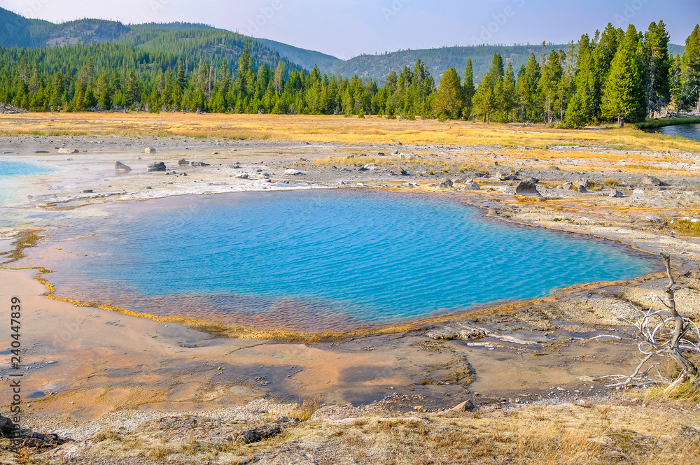 Yellowstone thermal spring