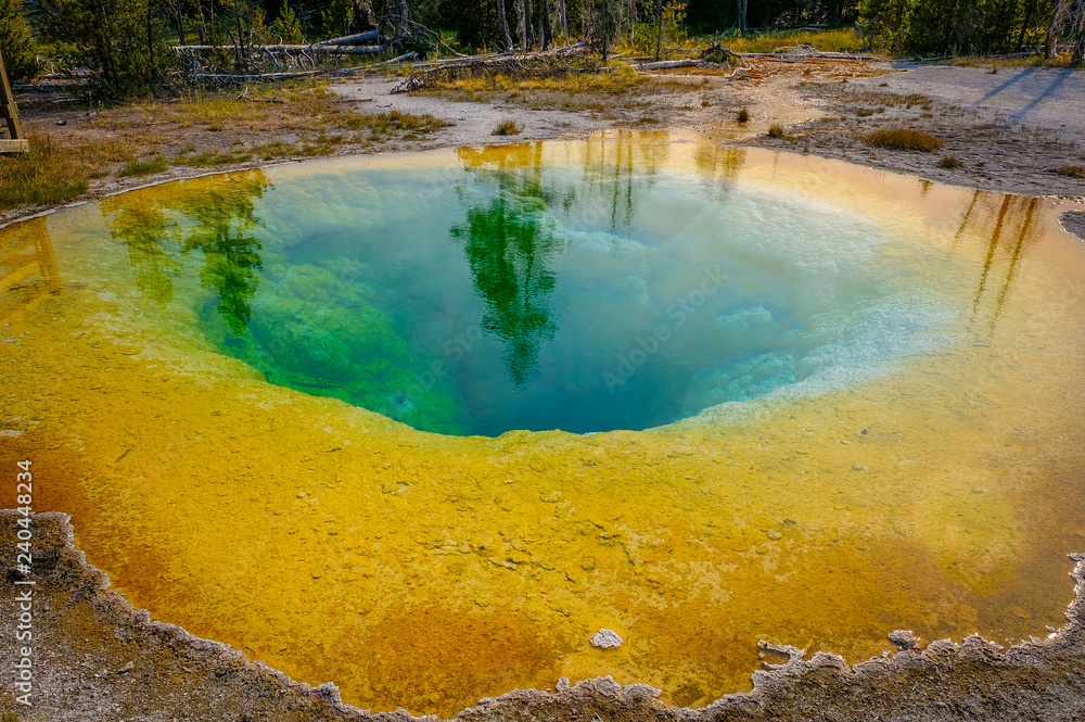 Hot thermal spring Yellowstone
