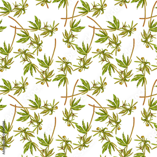 Seamless pattern with green plants