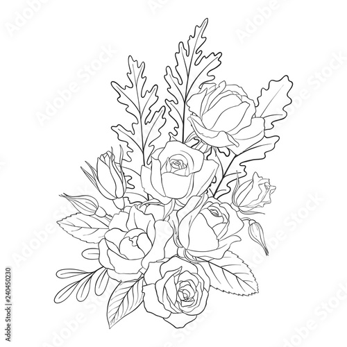 Fototapeta Naklejka Na Ścianę i Meble -  vector floral composition