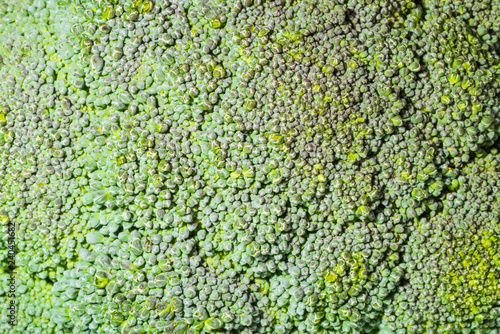 Close up Green Broccoli vegetable food healthy. © suwanb