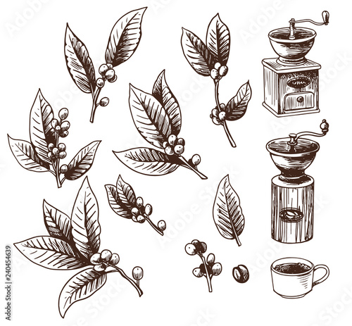 Set of coffee plants, coffee mill and cup