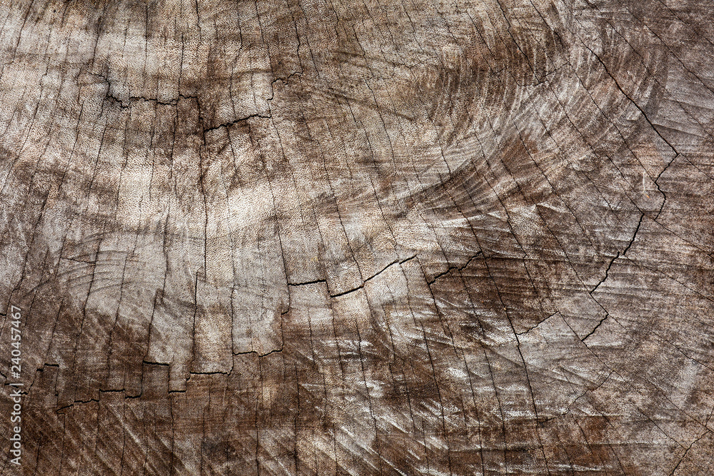 Fototapeta premium old brown wood texture from destroy the forest - background