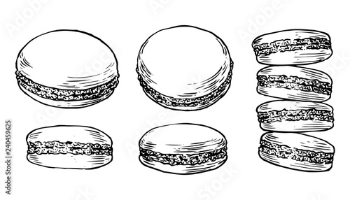 Delicious hand drawn french macarons. Engraving style pen pencil painting retro vintage vector lineart illustration. Sweet cookies.