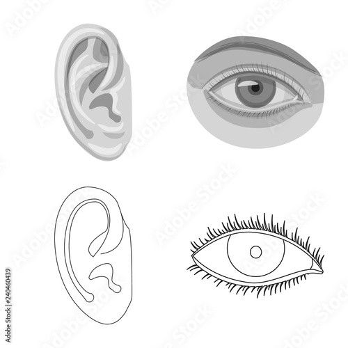 Vector design of human and part sign. Set of human and woman stock vector illustration.