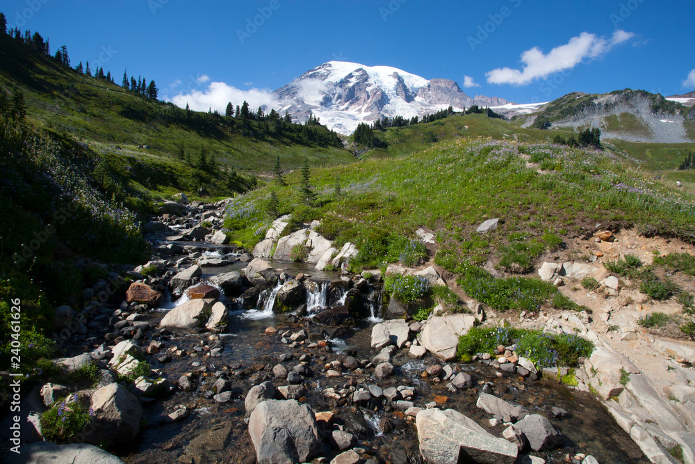 mountain landscape with river mountain landscape with river