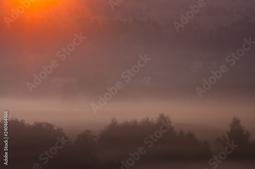 Sun rays over misty trees © Mikhail Semenov