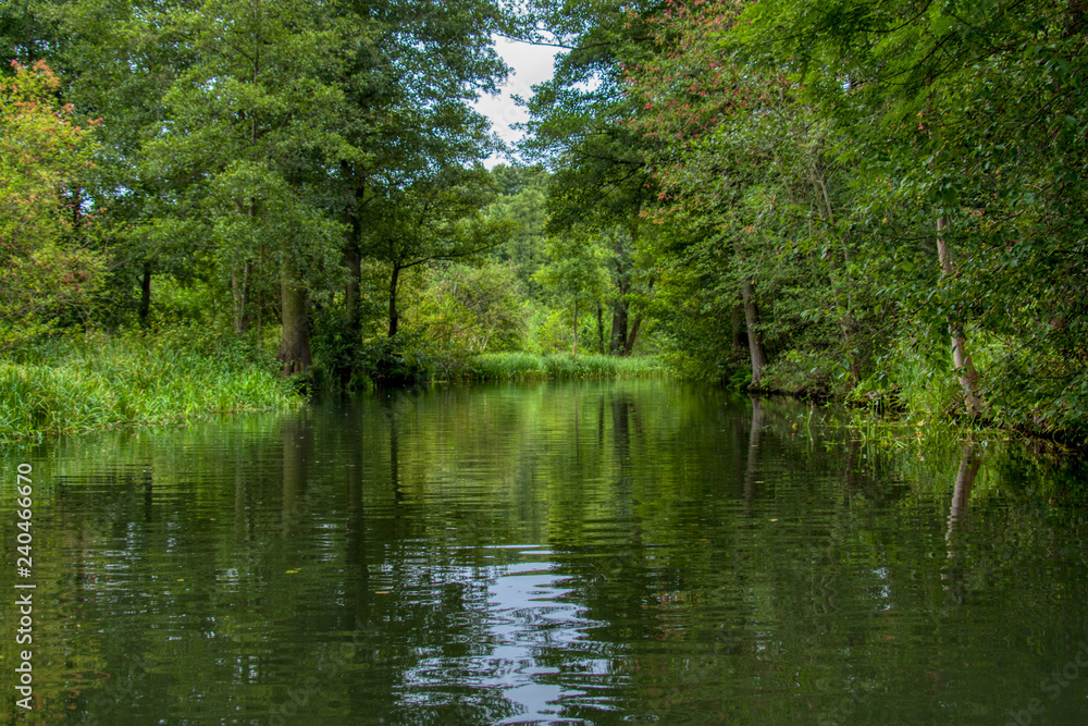 Spreewald Spreewald