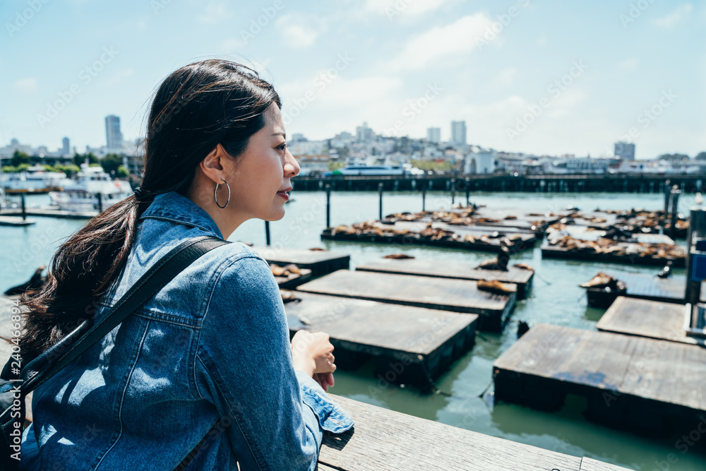 young asian girl seeing cute animal sea lions