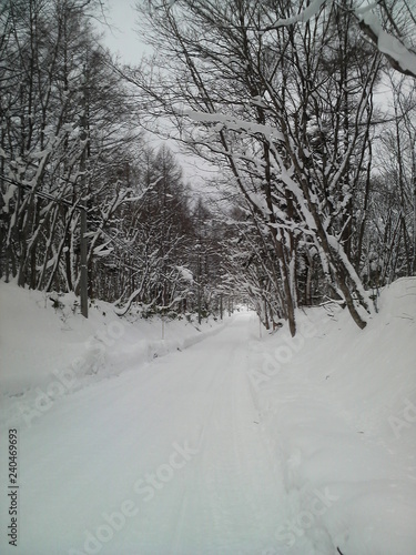 長野の戸隠の雪道