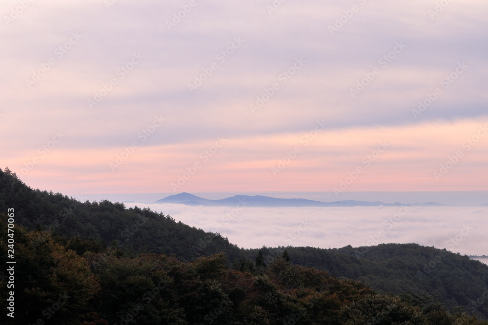 雲海