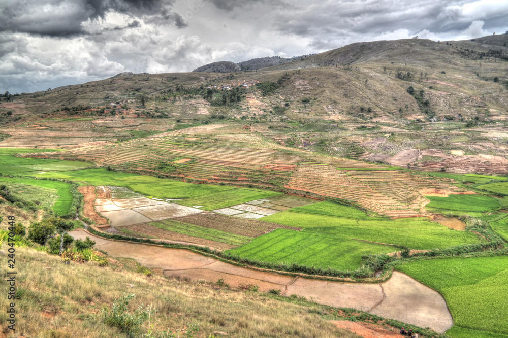 Landscape with the rice fields at Ambalavao Fianarantsoa ,Madagascar