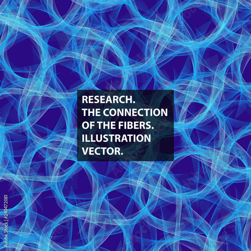 Connective tissue, fiber, abstraction vector