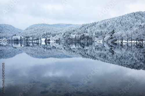 Panoramic view of Longemer Lake in the Vosges mountains, Xonrupt-Longemer, Lorraine, France. Picturesque winter landscape with white snowy trees reflected in water.