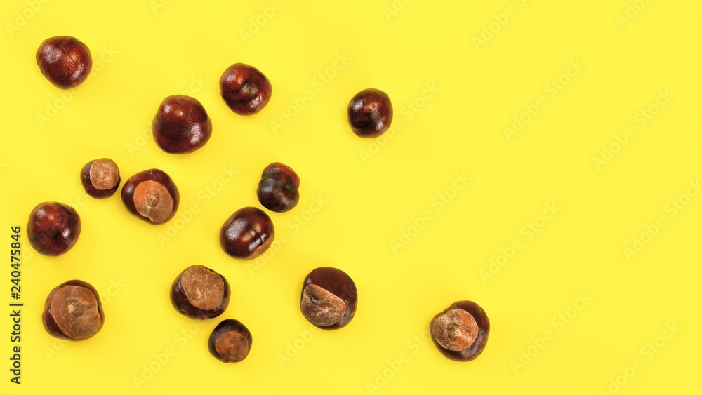 Top view, horse chestnuts (Aesculus hippocastanum) spilled on yellow board, space for text on the right. Autumn background. Top view, horse chestnuts (Aesculus hippocastanum) spilled on yellow board, space for text on the right. Autumn background.
