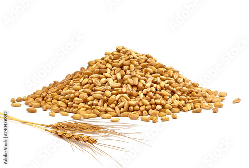 Wheat heap or pile side view isolated on white background photo