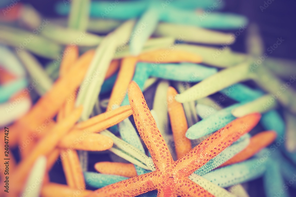 Starfish and seashells souvenirs for sale. Selective Focus. Starfish and seashells souvenirs for sale. Selective Focus.