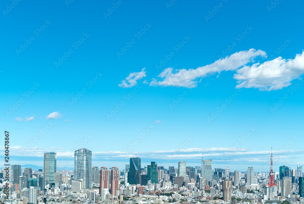 Fototapeta premium 東京風景