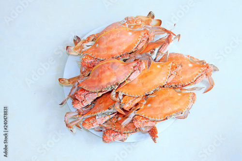 Cooked crab in the dish