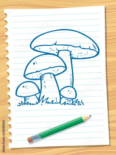Boletus edulis
