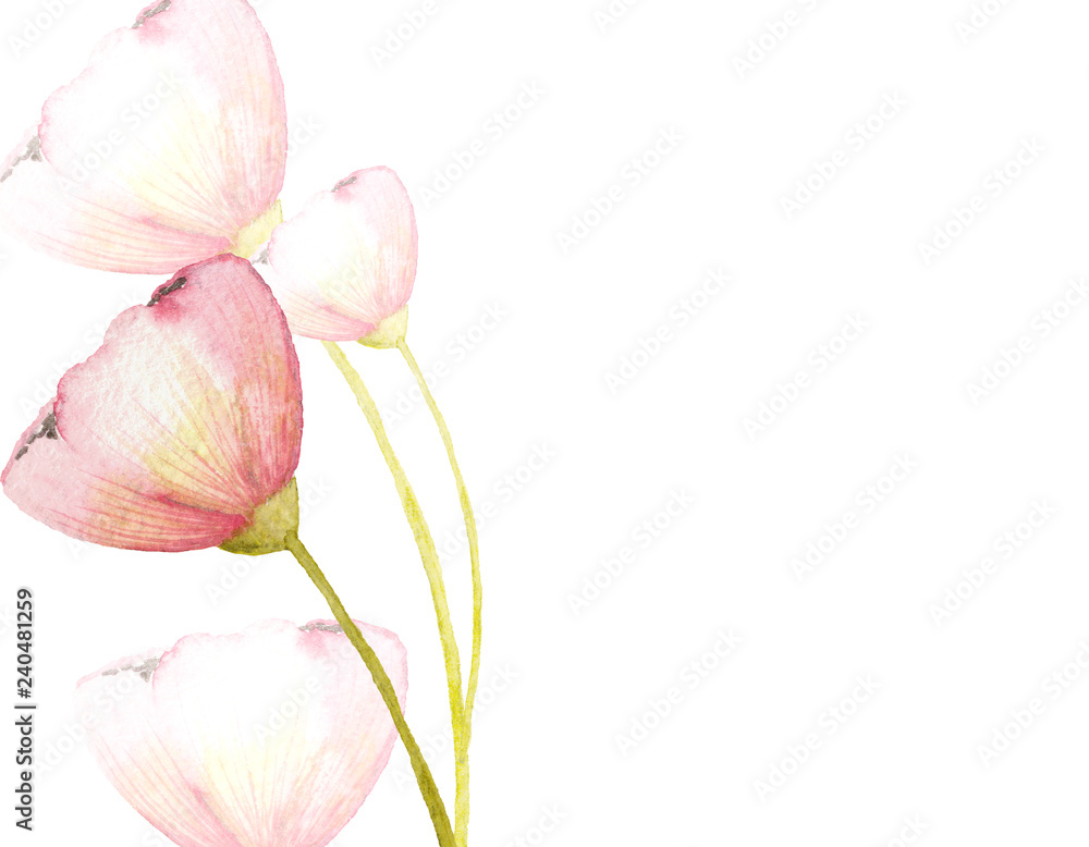 Watercolor spring frames with cute pink spring flowers on a white background