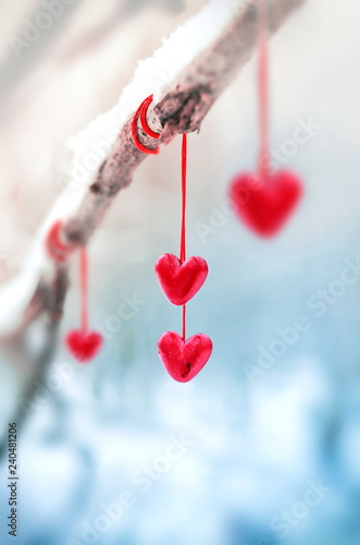 Red hearts on snowy tree branch in winter. Holidays happy valentines day celebration heart love concept.