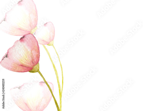 Watercolor spring frames with cute pink spring flowers on a white background