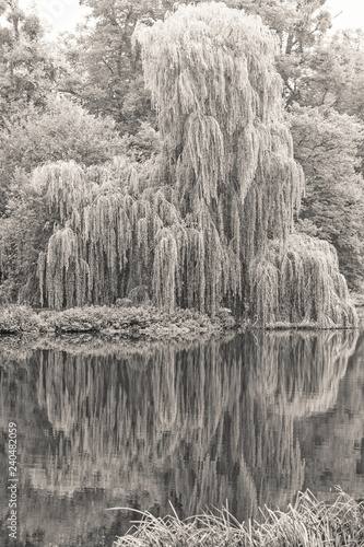 Hatfield House Autumn Walk photo