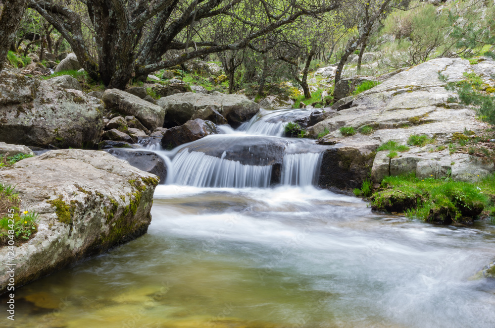 stream in the forest with small waterfall in spring stream in the forest with small waterfall in spring