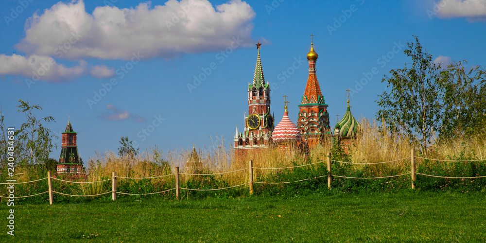 Fototapeta premium Rustic meadow and the Cathedral of the Basil of Blessed in the park Zaryadye.