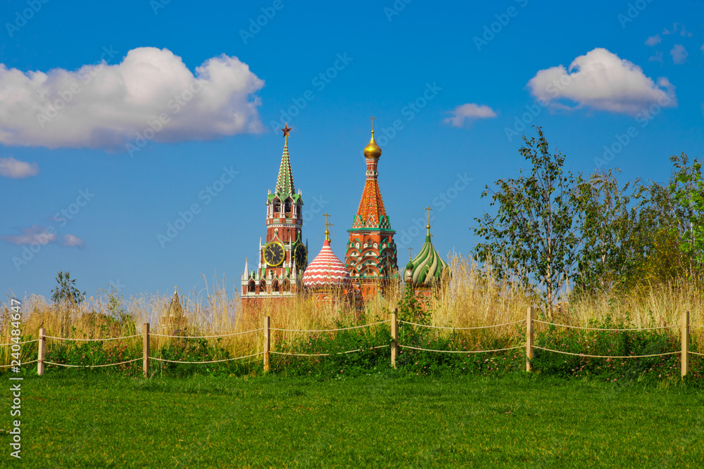 Obraz premium Rustic Meadow and the Savior Tower in the park Zaryadye.